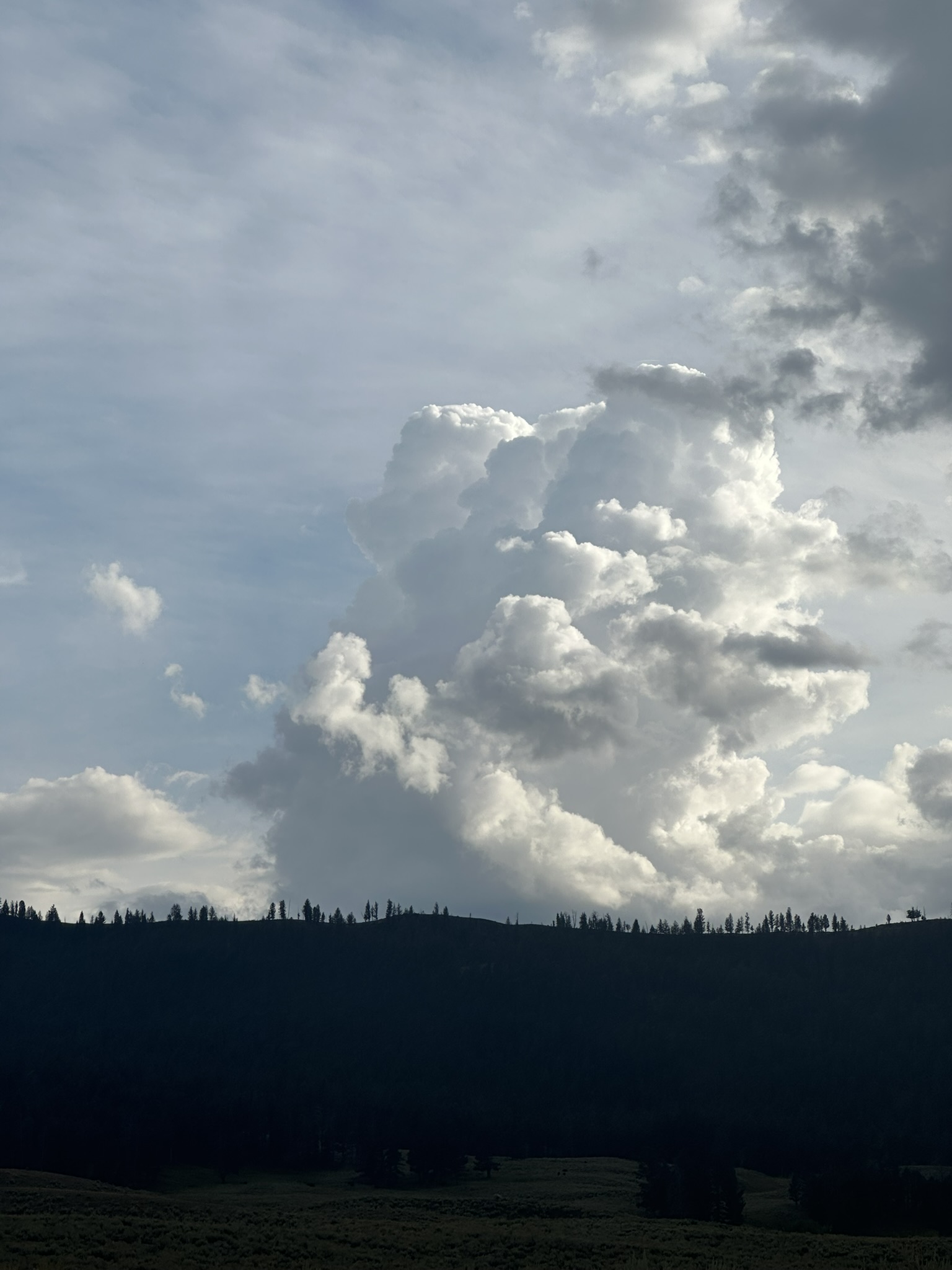 Yellowstone And Grand Teton National Parks - Image 1106